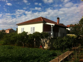 Apartments with a parking space Zaglav, Dugi otok - 11924